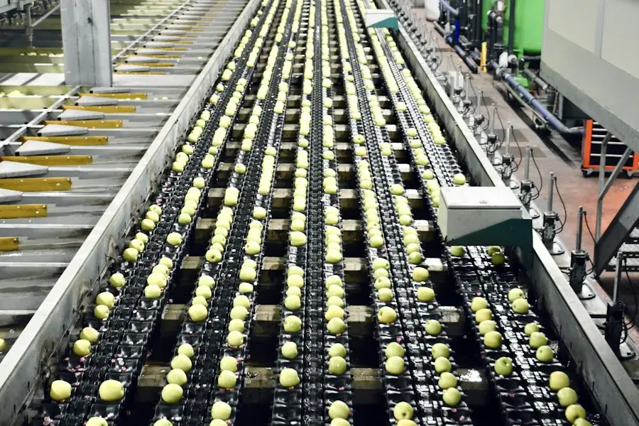 FMCG